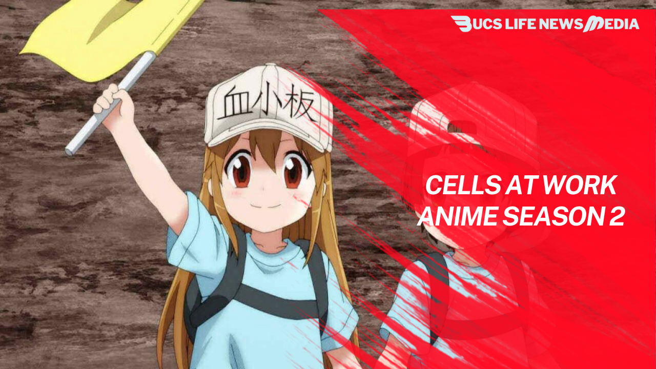 cells at work anime season 2